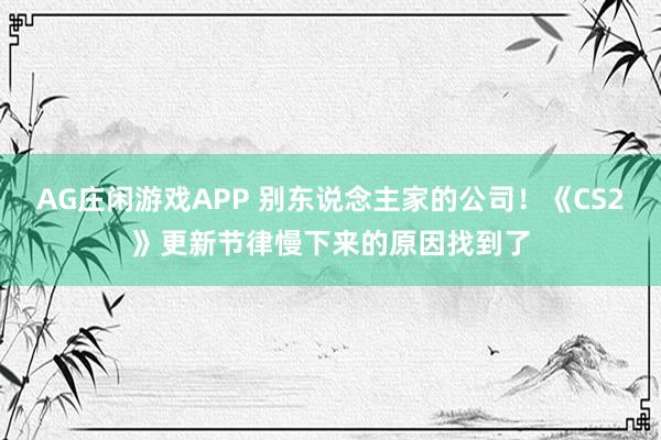 AG庄闲游戏APP 别东说念主家的公司！《CS2》更新节律慢下来的原因找到了