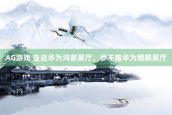 AG游戏 走进华为鸿蒙展厅，参不雅华为鲲鹏展厅
