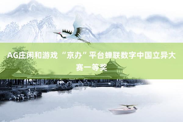 AG庄闲和游戏 “京办”平台蝉联数字中国立异大赛一等奖