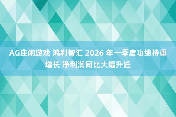AG庄闲游戏 鸿利智汇 2026 年一季度功绩持重增长 净利润同比大幅升迁
